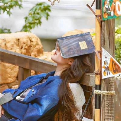 间谍过家家第三季